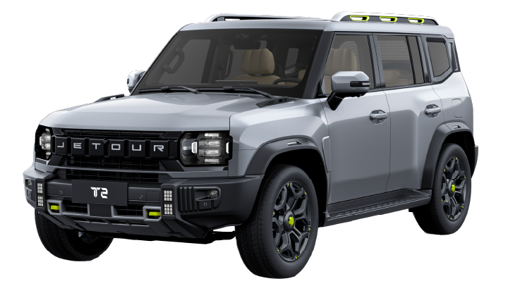 T2 Color silver-snow